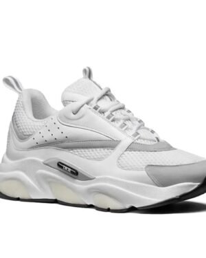 Dior B22 Sneakers White
