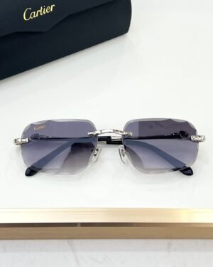 Cartier Silver Dark Glasses