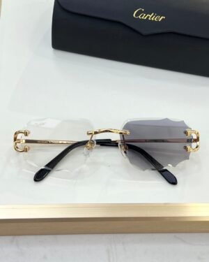 Cartier Color Changing Gold Dark Glasses